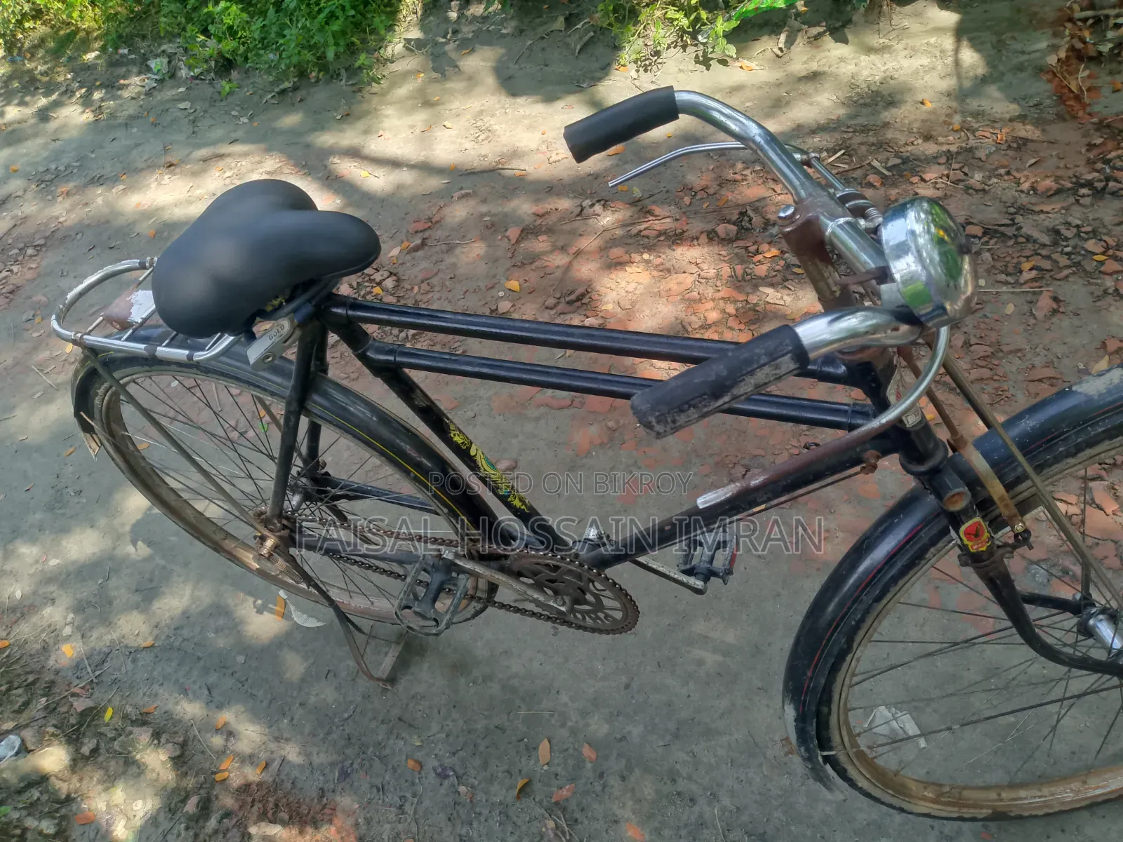 Large Bicycle