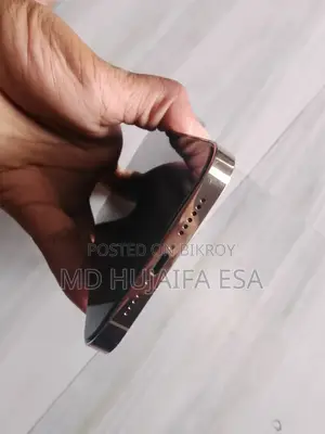 অ্যাপল আইফোন ১৩ প্রো ম্যাক্স ২৫৬ জিবি গোল্ড