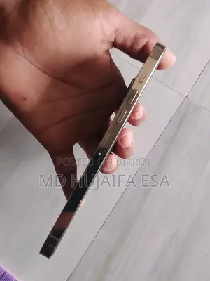 অ্যাপল আইফোন ১৩ প্রো ম্যাক্স ২৫৬ জিবি গোল্ড
