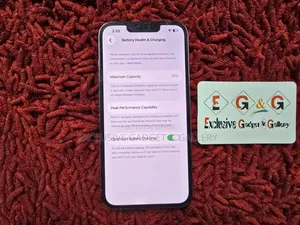 অ্যাপল আইফোন ১৩ প্রো ২৫৬ জিবি ব্লু