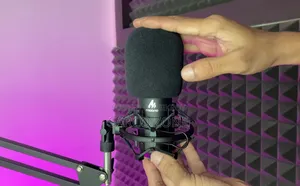 Mauno Au-04 Condenser Microphone