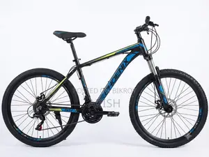 Phoenix 24-inch Cycle