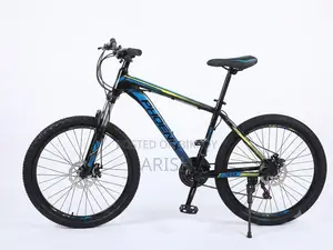 Phoenix 24-inch Cycle