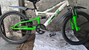 Kids 20 Inch Cycle
