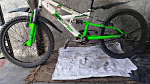 Kids 20 Inch Cycle