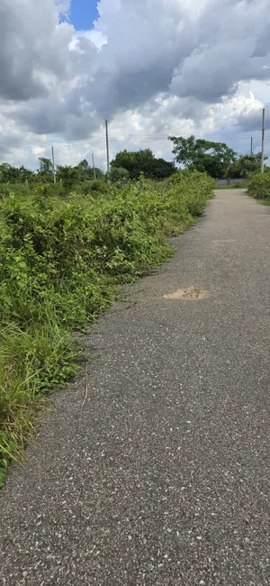 Rajuk Forest Area 5 Katha Lucrative Location Plot