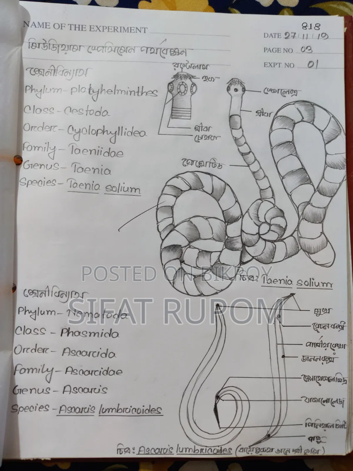 Custom Practical Notebook Design