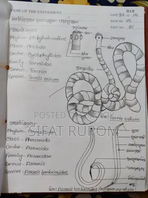 Custom Practical Notebook Design