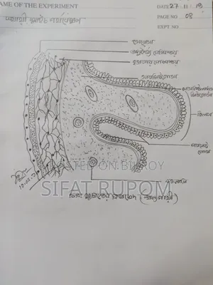 Custom Practical Notebook Design