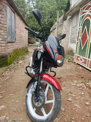 বাজাজ পালসার ১৫০ ২০১৬ রেড