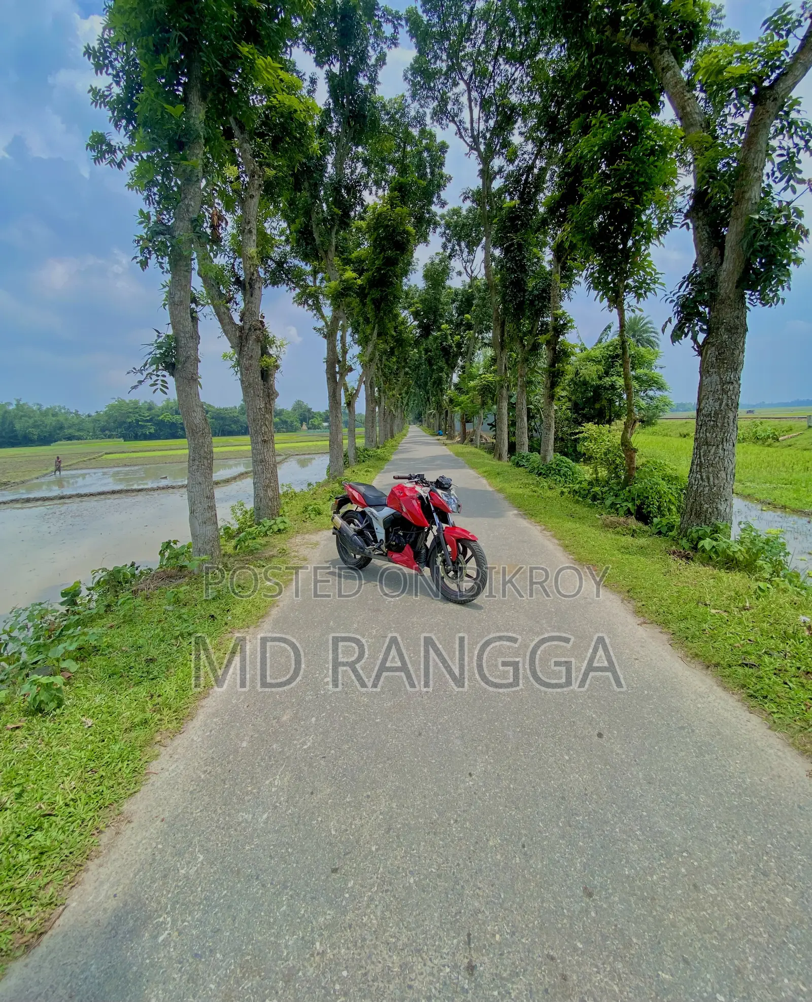 TVS Apache RTR 160 4V 2023 Red