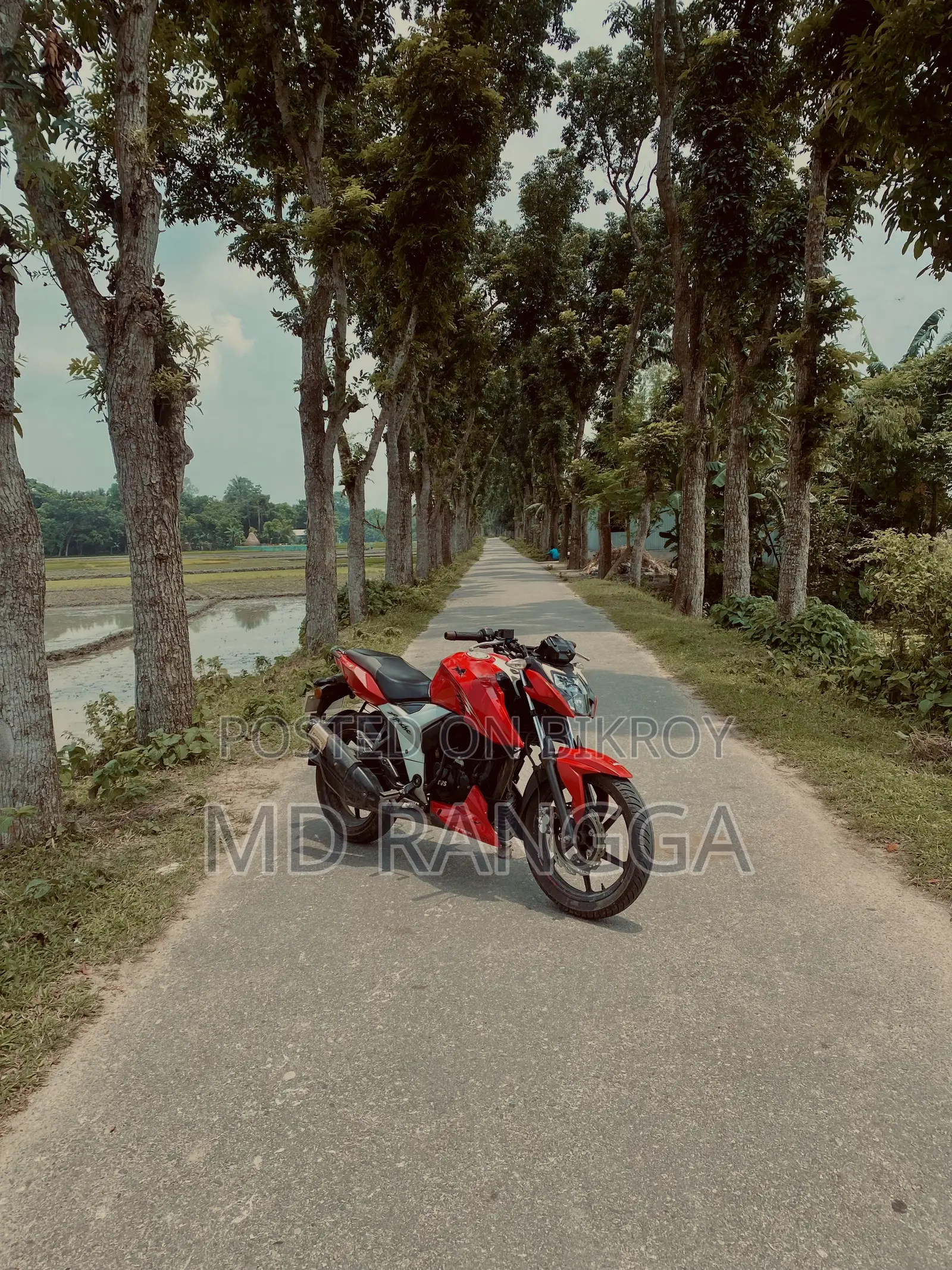 TVS Apache RTR 160 4V 2023 Red