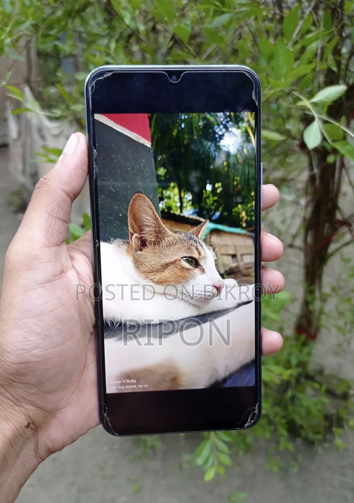 Vivo Y53s 128 GB Pink
