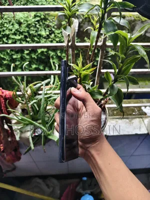 স্যামসাং গ্যালাক্সি নোট ১০ প্লাস ২৫৬ জিবি ধূসর
