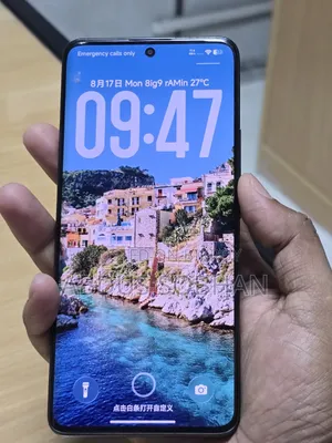 Xiaomi Redmi Note 14 Pro+ 512 GB Black
