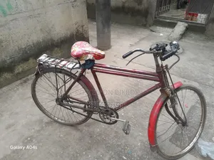 Normal Bicycle