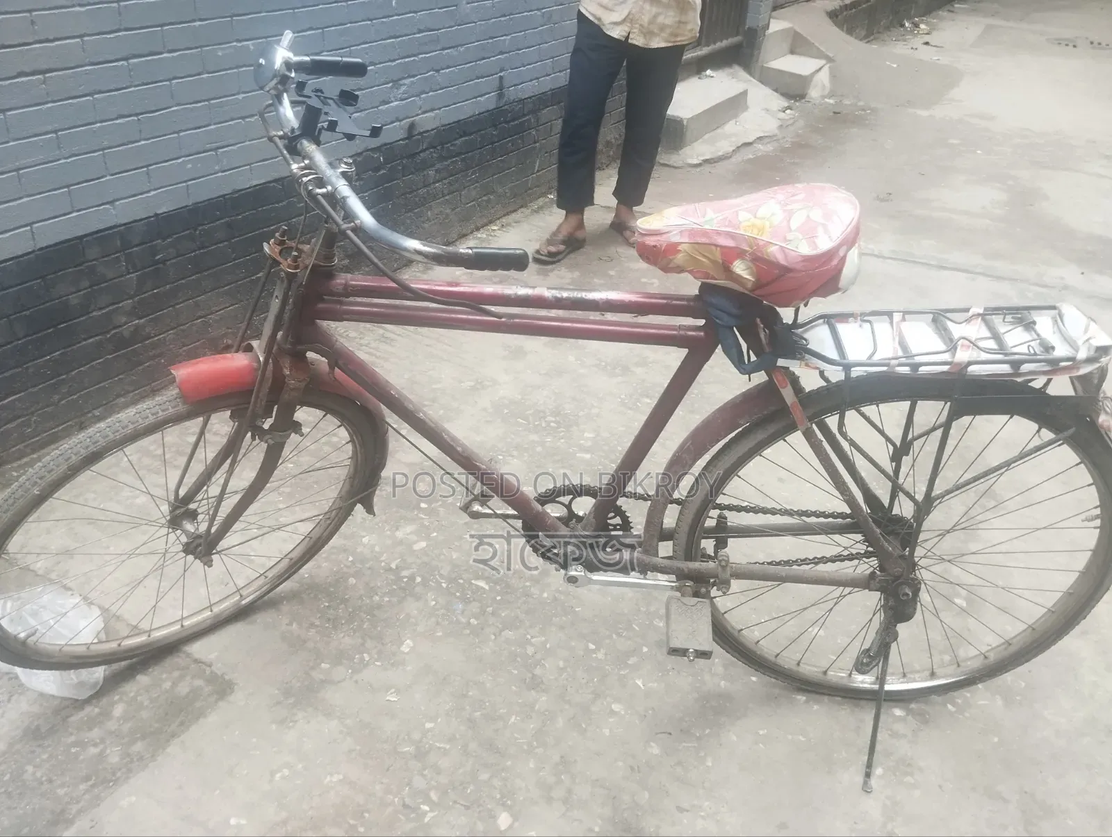 Normal Bicycle