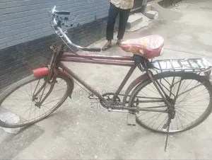 Normal Bicycle