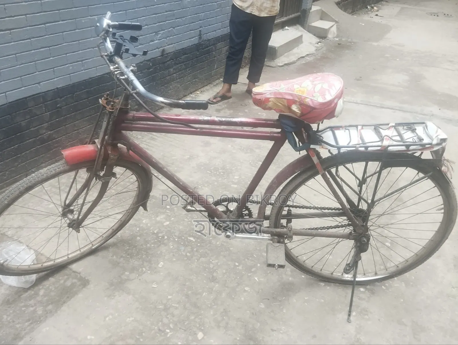 Normal Bicycle