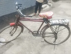 Normal Bicycle