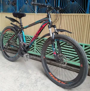 Phoenix Argus