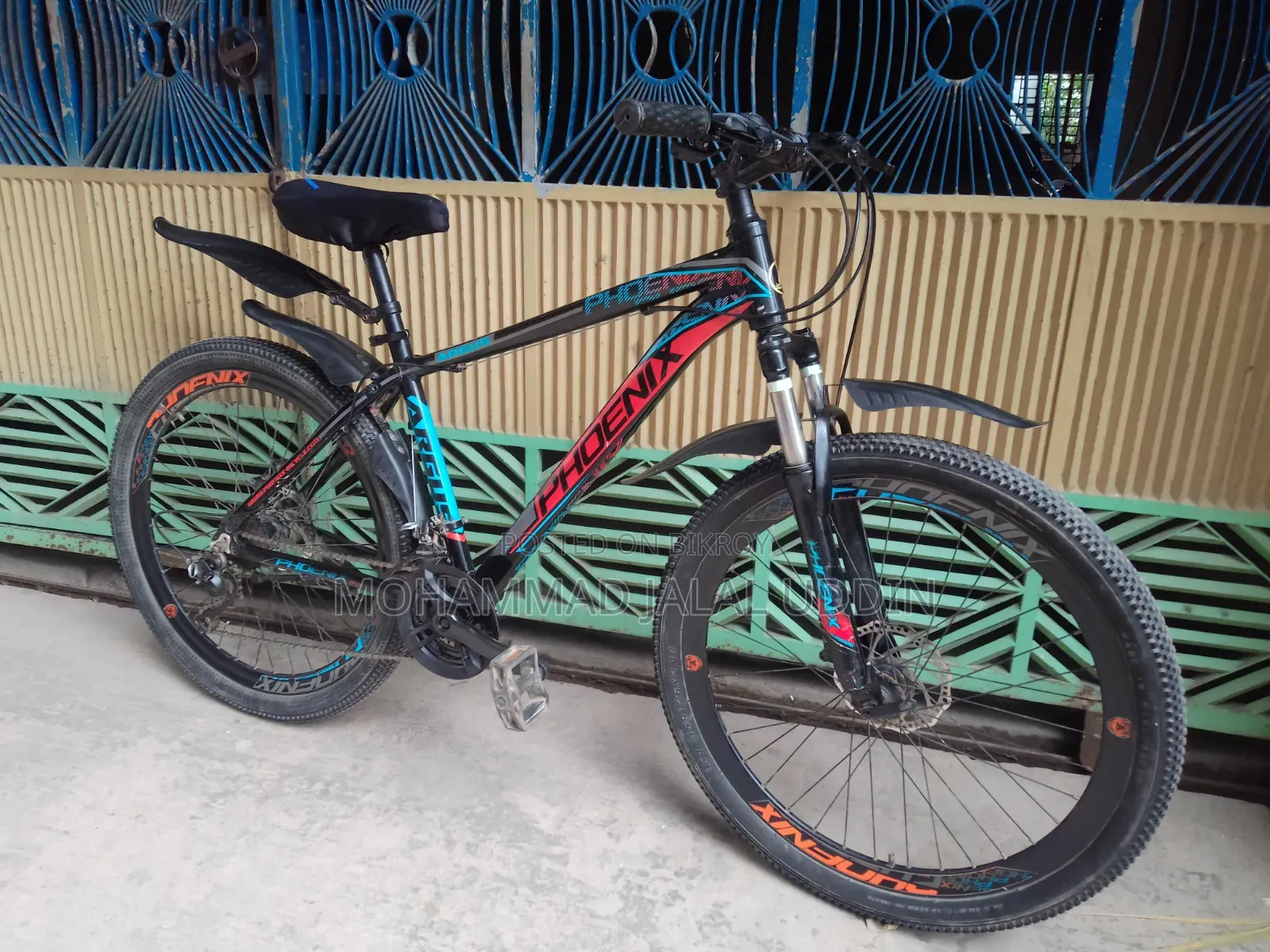 Phoenix Argus