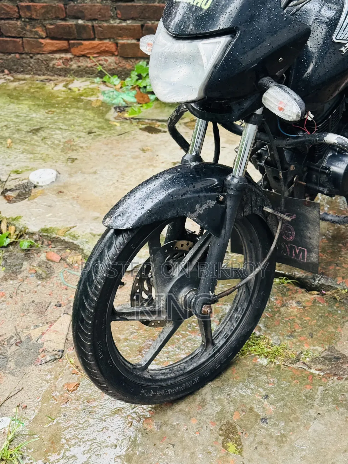 Honda Shine SP 2016 Black