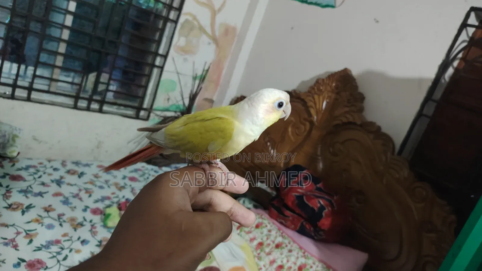 সানচিক কোনুর সুপার টেম