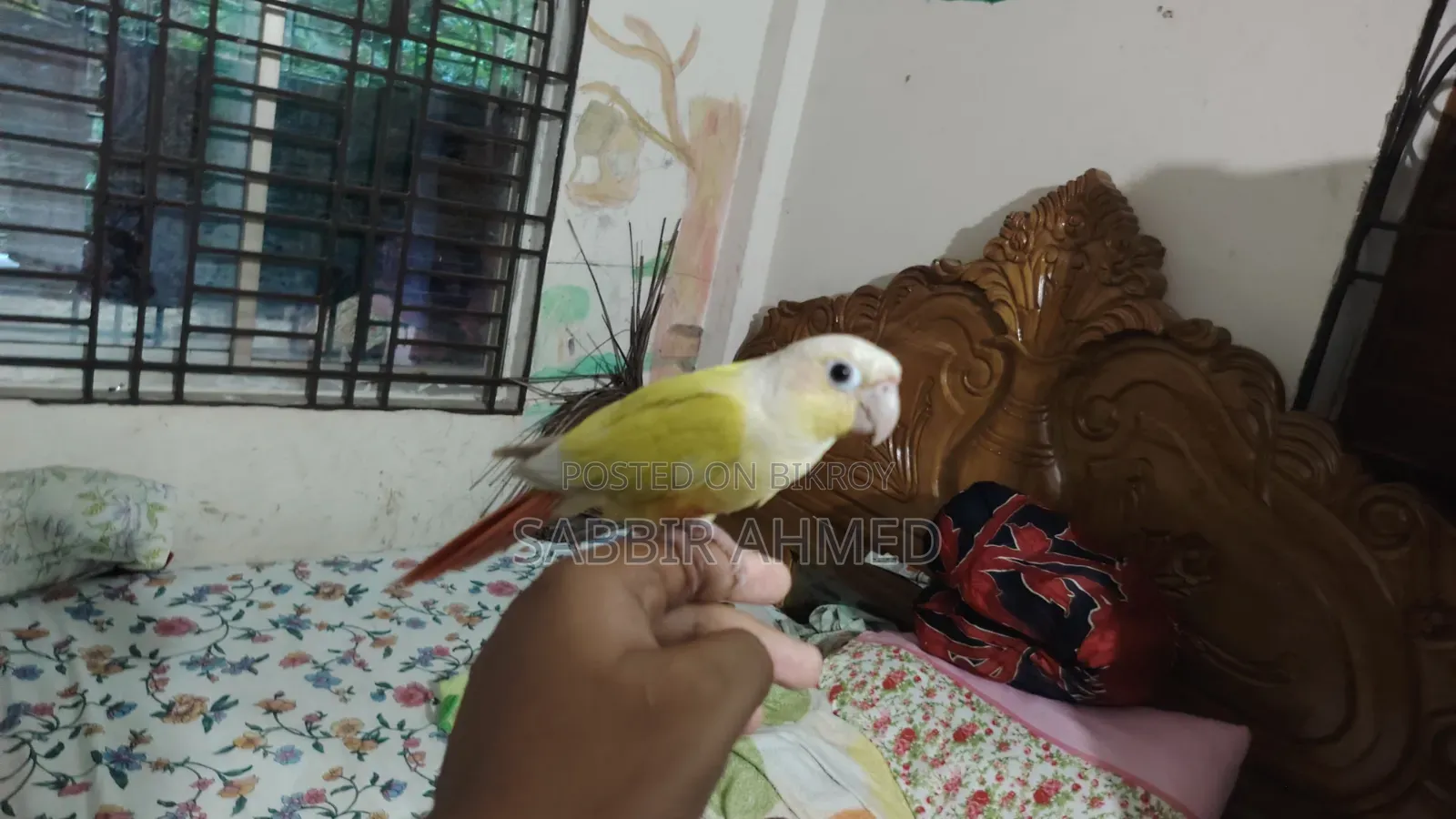 সানচিক কোনুর সুপার টেম