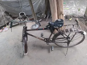 Phoenix Bicycle