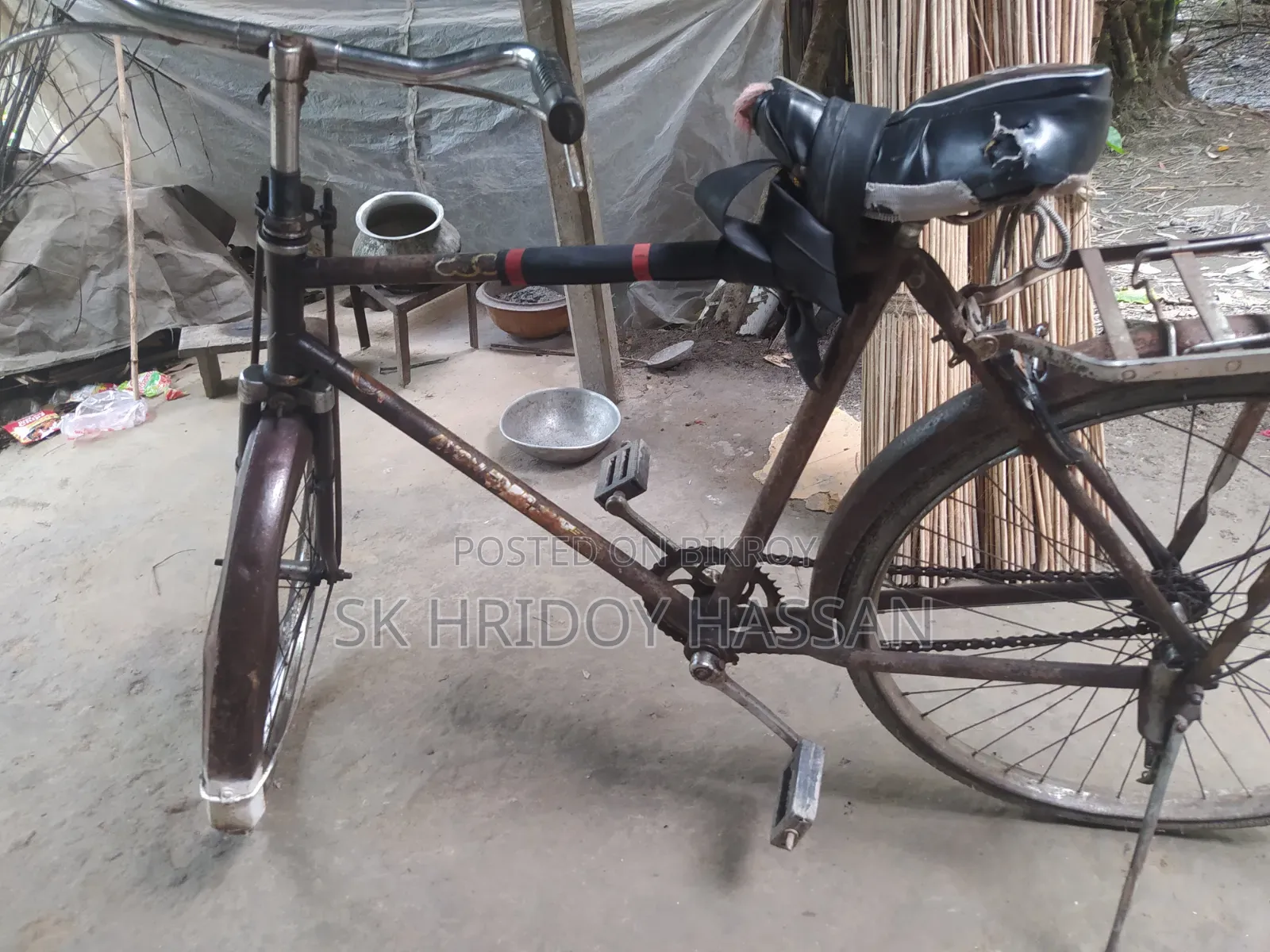Phoenix Bicycle