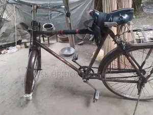 Phoenix Bicycle
