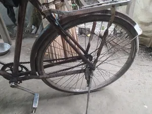 Phoenix Bicycle
