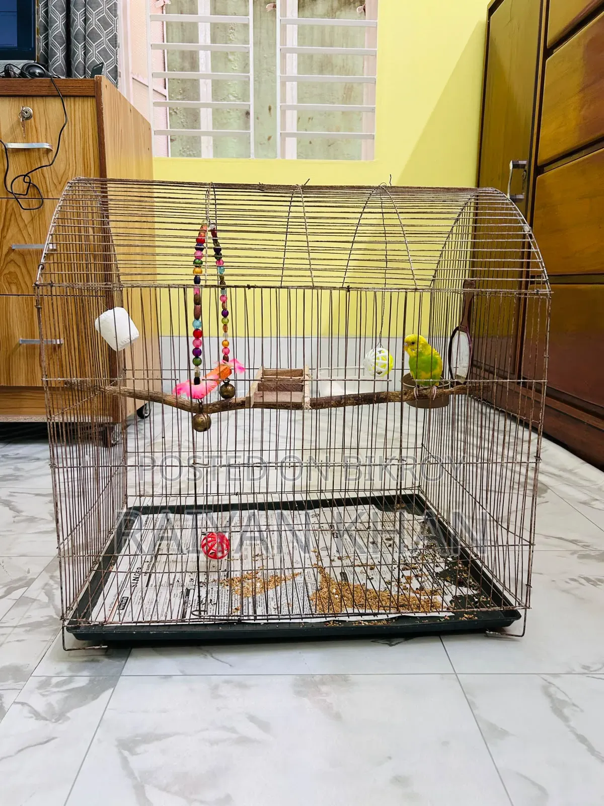 Budgerigar Cage for Sale