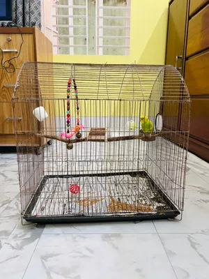 Budgerigar Cage for Sale