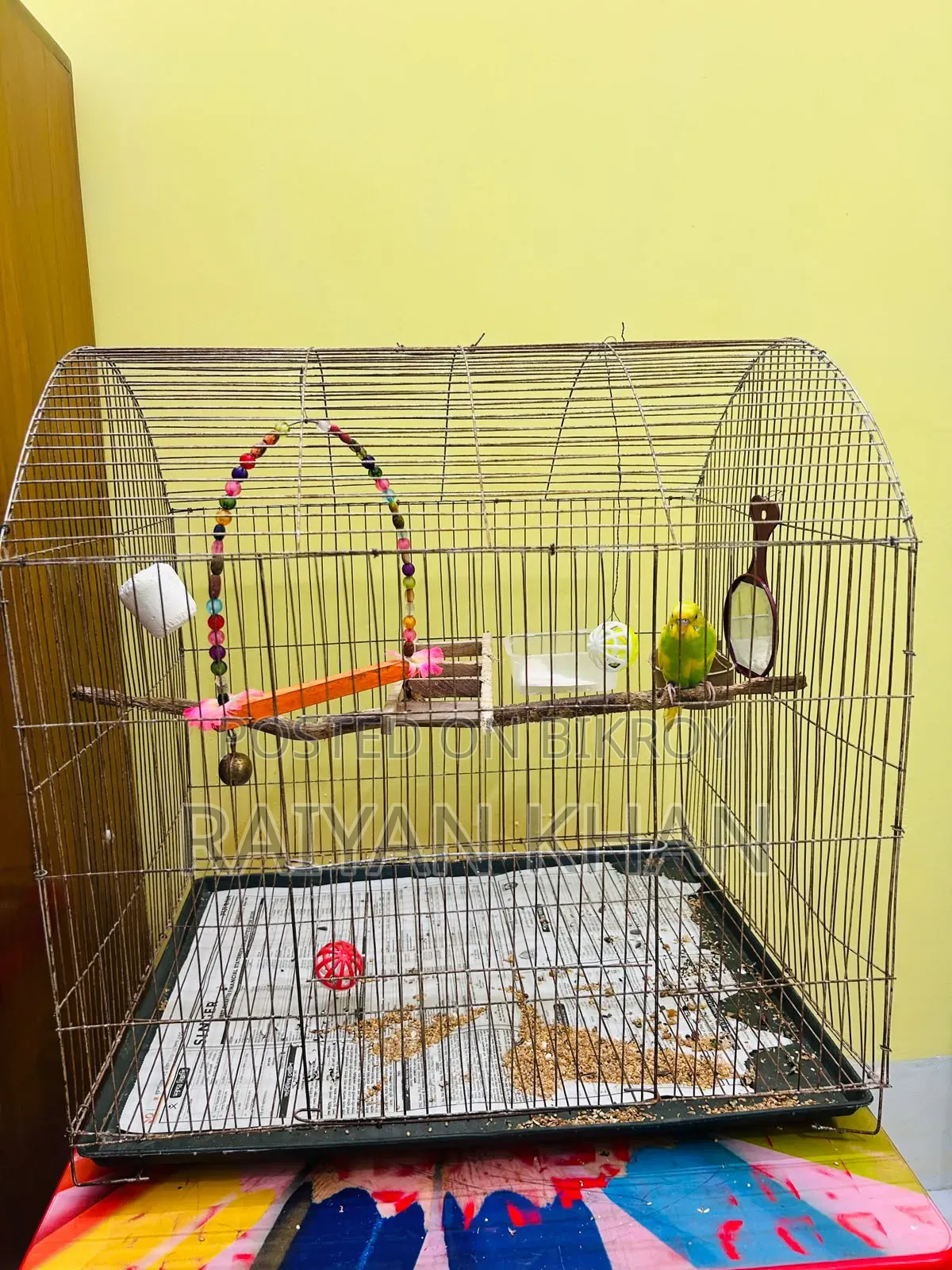Budgerigar Cage for Sale
