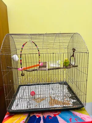Budgerigar Cage for Sale
