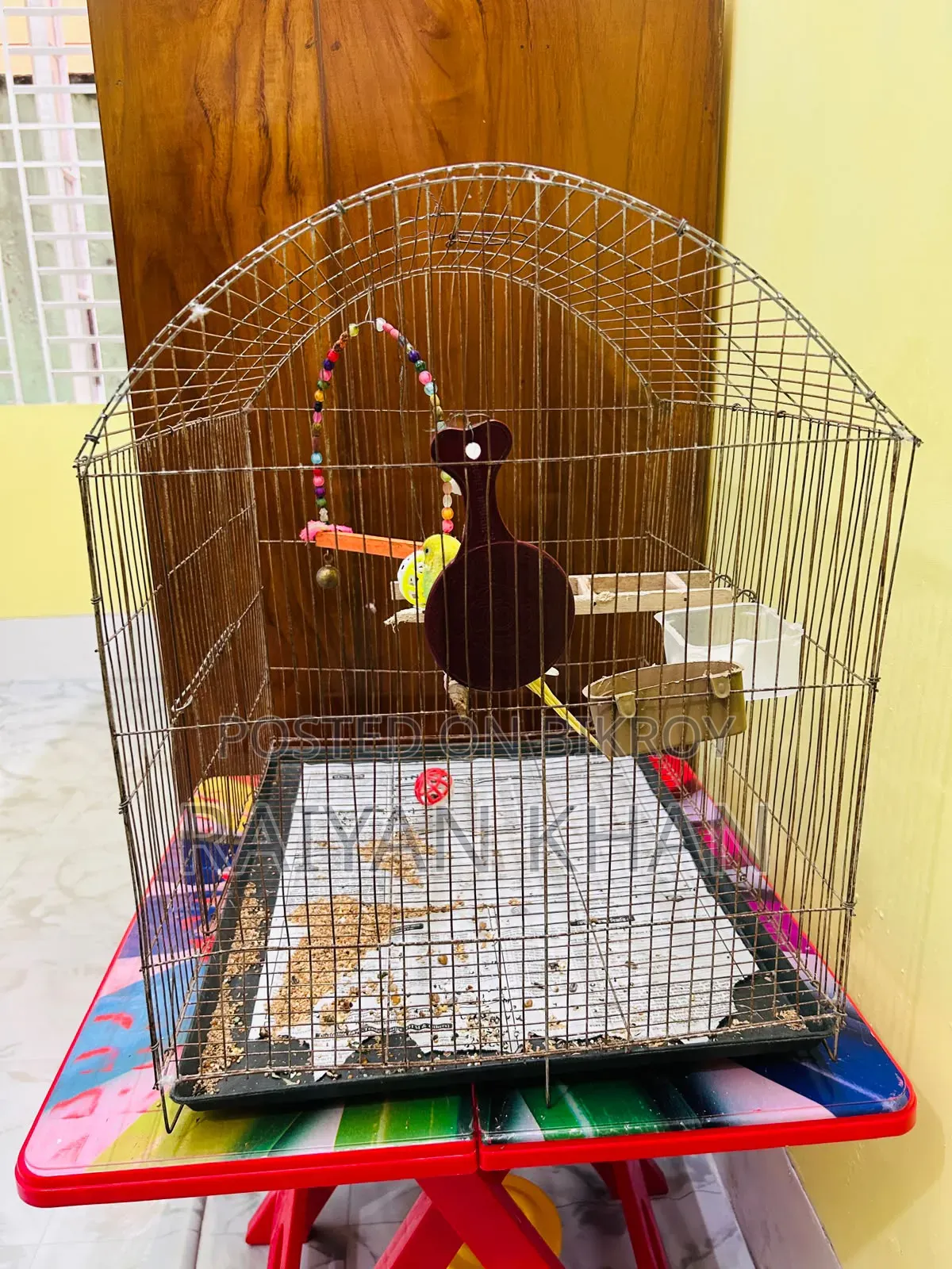 Budgerigar Cage for Sale