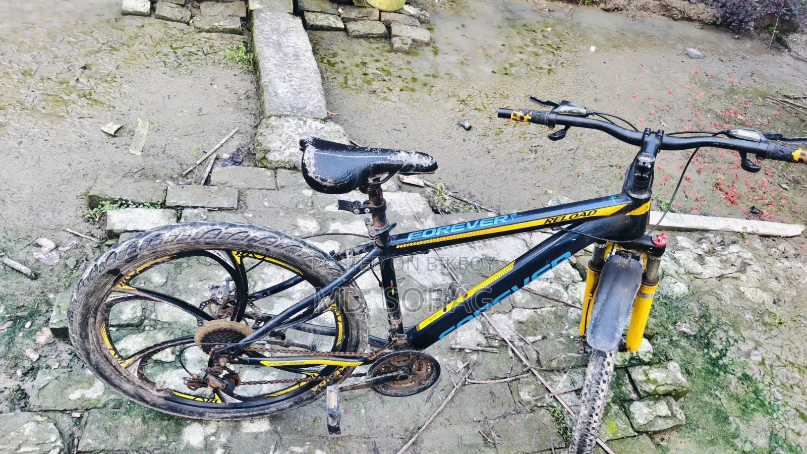 Bicycle Sell