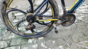 Bicycle Sell