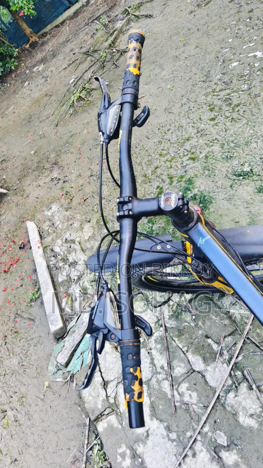 Bicycle Sell