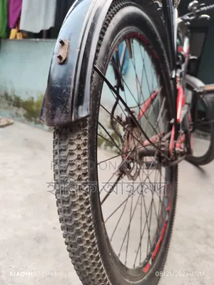 Non Gear Bicycle