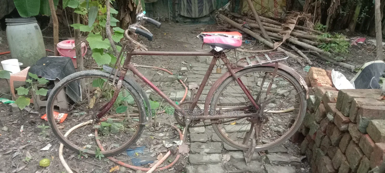 Hercules Indian Cycle