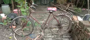 Hercules Indian Cycle