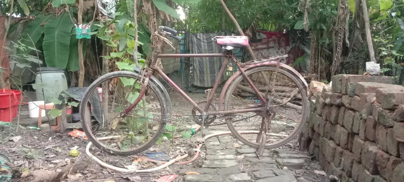 Hercules Indian Cycle