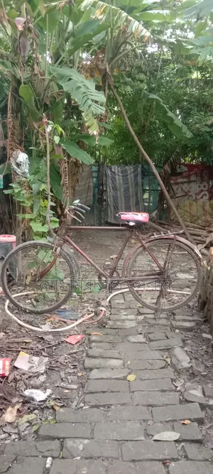 Hercules Indian Cycle