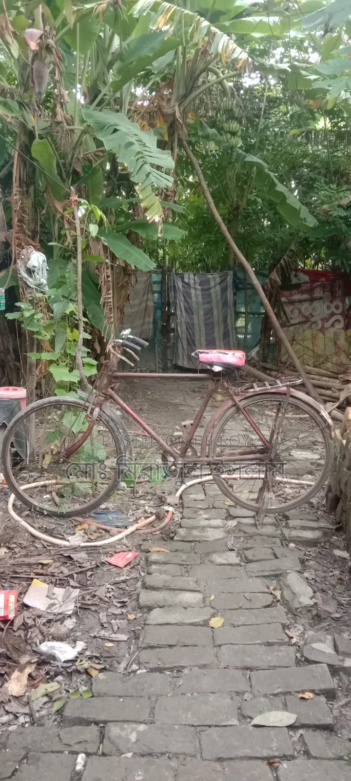 Hercules Indian Cycle