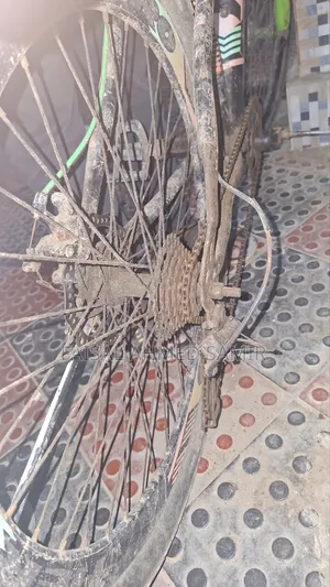 7 Gear Cycle