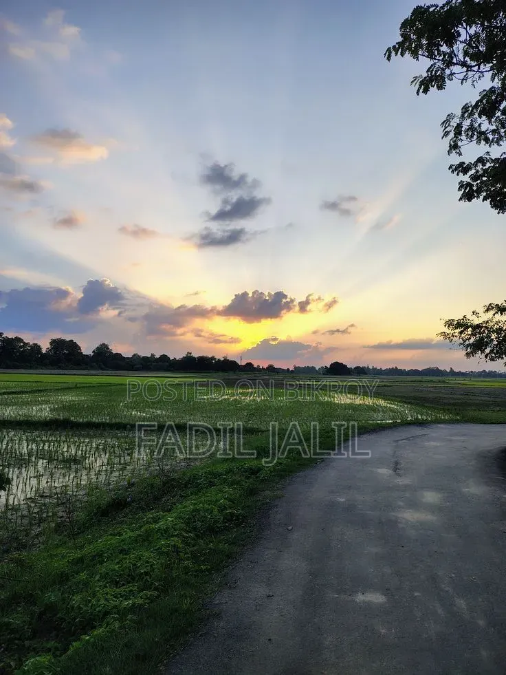 গুগল পিক্সেল ৭এ ১২৮ জিবি ব্লু
