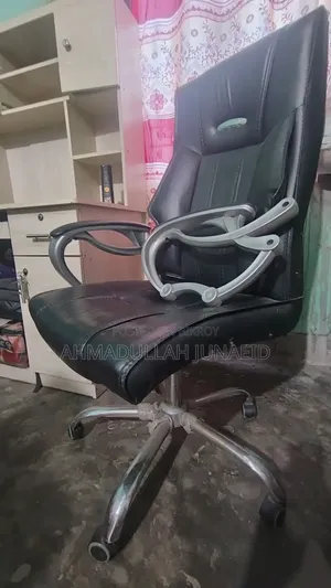Ergonomic Chair